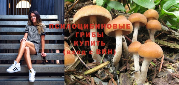 дурь Гвардейск
