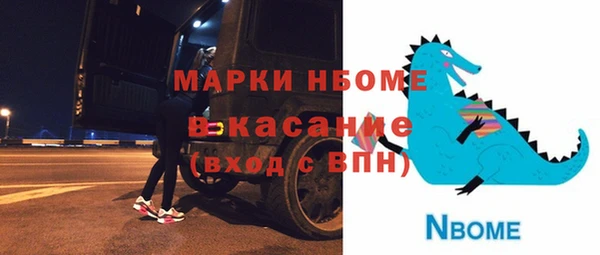 молекула духа Гатчина